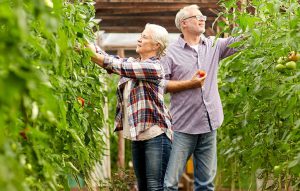 What Is A Healthy Diet For Seniors?