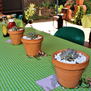Transition into assisted living